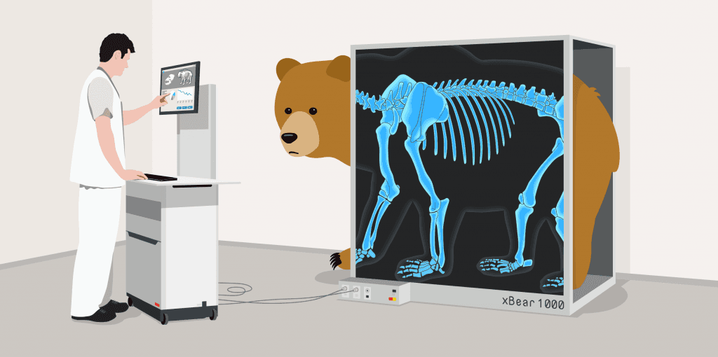 tunnelbear_public_security_audit-1024x510